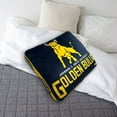 thumbnail image 2 of Logo Brands Johnson C Smith Golden Bulls XL Puff Pillow, 2 of 5
