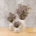 thumbnail image 5 of Member's Mark Limonium, 60 Stems, choose color, 5 of 6