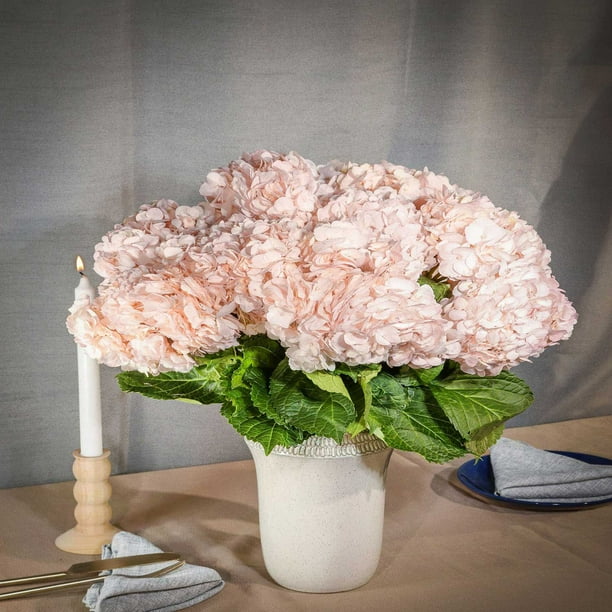 ☆hydrangea☆さま 専用です Member's Mark Color Enhanced Hydrangeas, 20 stems, choose