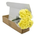 thumbnail image 3 of Member's Mark Carnations, Choose color and stem count, 3 of 5