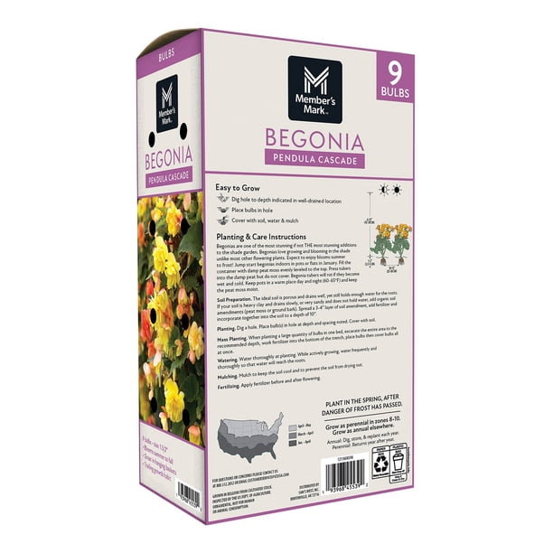 Member's Mark Begonia Pendula Cascade Dormant Bulbs, 9pk