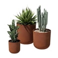 thumbnail image 3 of Veradek Patina Series Round Planter Bundle, 3 of 11