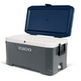 thumbnail image 9 of Igloo MaxCold Latitude Ice Chest Cooler, Choose Size, 9 of 9