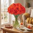 thumbnail image 7 of Member's Mark Gerbera Daisies, choose color and stem count, 7 of 8