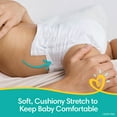 thumbnail image 7 of Pampers Swaddlers Diapers (Choose Your Size), 7 of 10