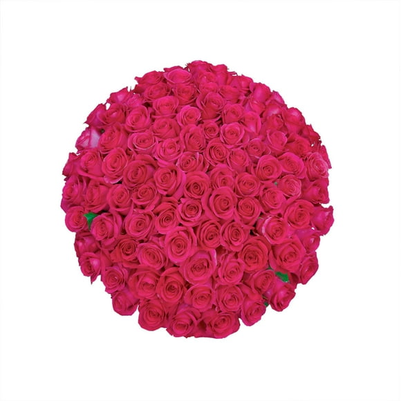 Member's Mark Ecuadorian Premium Roses, choose color variety and stem count