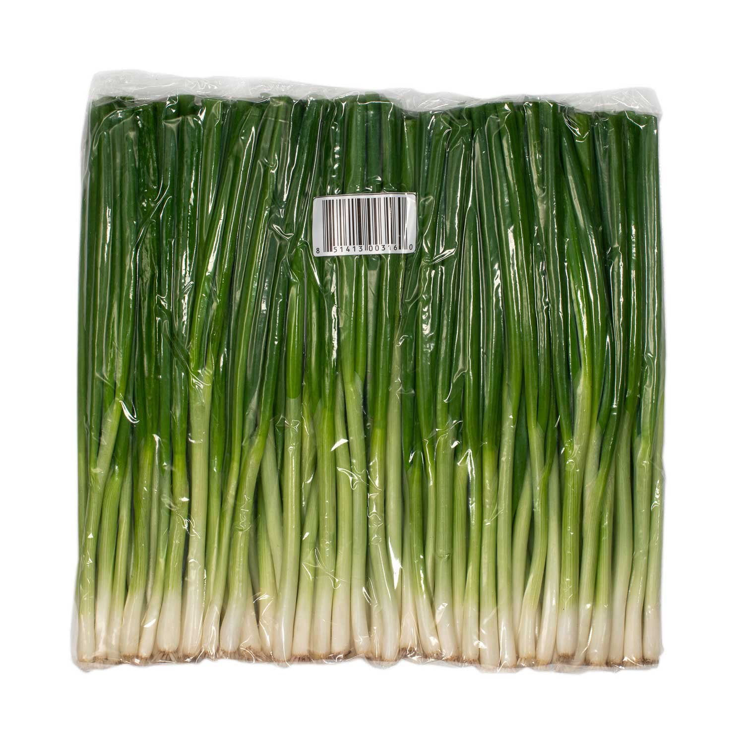 Garniture D'Ameublement - Frange à Gland Vert Sauge, 2 7/8 Pouces, 3 Yards, Pour Couture Et Décoration