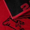 thumbnail image 5 of Logo Brands Arkansas Razorbacks 38"x72" Beach Towel, 5 of 6