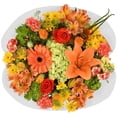 thumbnail image 1 of Member's Mark Jumbo Premium Bouquet, color and variety may vary, 1 of 9