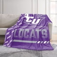 thumbnail image 2 of Logo Brands Abilene Christian Wildcats 60"x70" Super Plush Blanket, 2 of 7