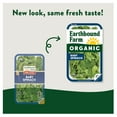 thumbnail image 3 of Organic Baby Spinach, 16 oz., 3 of 5