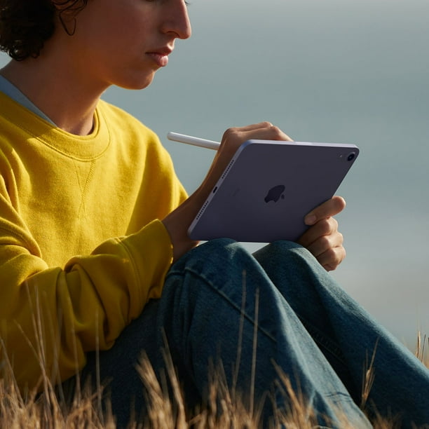 Apple iPad mini Wi-Fi, 256 GB - 6th Generation 2021 Model