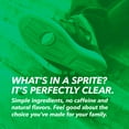 thumbnail image 6 of Sprite Lemon Lime Soda Soft Drinks, 12 fl oz., 35 pk., 6 of 6