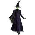 thumbnail image 1 of Universal Pictures Wicked Elphaba Adult Prestige Gown Costume, 1 of 9