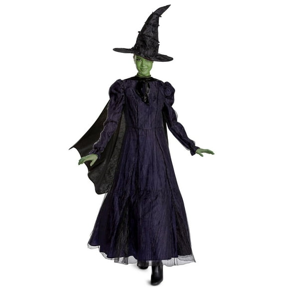 Universal Pictures Wicked Elphaba Adult Prestige Gown Costume