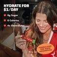 thumbnail image 5 of Waterboy Sugar Free Daily Hydration Electrolyte Drink Mix Variety Pack, 30 ct., 5 of 5