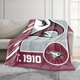 thumbnail image 2 of Logo Brands North Carolina Central Eagles 60"x70" Super Plush Blanket, 2 of 6