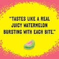 thumbnail image 10 of SOUR PATCH KIDS Soft Chewy Candy, Watermelon, 2 oz., 24 pk., 10 of 11