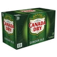 thumbnail image 9 of Canada Dry Ginger Ale Soda 12 fl. oz., 36 pk., 9 of 11