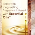 thumbnail image 8 of Glade PlugIns Scented Oil, Cashmere Woods with Sheer Vanilla Embrace, 1 Warmer + 9 Refills, 8 of 10
