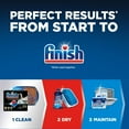 thumbnail image 11 of Finish Quantum Powerball Dishwasher Detergent Tablets 100 ct., 11 of 11