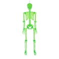 thumbnail image 3 of Member's Mark 5' Pre-Lit Color Changing Poseable Skeleton, 3 of 4