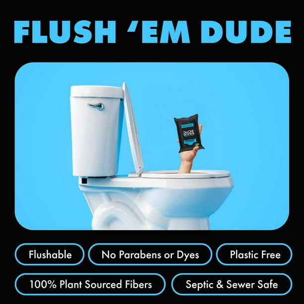 DUDE Wipes XL Flushable Wipes, Fragrance Free, 10 ct., 180 wipes