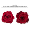 thumbnail image 4 of Member's Mark Ecuadorian Premium Roses, choose color variety and stem count, 4 of 7