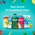 thumbnail image 4 of Pinalen Original Multipurpose Cleaner, Pine Scent 304 fl. oz., 4 of 4