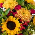 thumbnail image 2 of Member's Mark DIY Floral Bouquet Bar, 144 stems, choose variety, 2 of 7