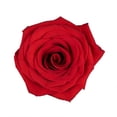 thumbnail image 2 of Member's Mark Roses, choose color and stem count, 2 of 8