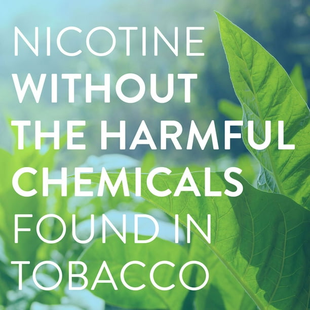cigarettes without harmful chemicals ' . This World No Tobacco Day, whether you have smoked for years or started vaping thinking it was safer Think herbal cigarettes are