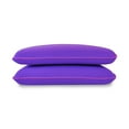 thumbnail image 1 of Imaginarium 2-Pack Memory Foam Fun Pillow with Cooling Cover, 1 of 8