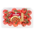 thumbnail image 1 of Cocktail Tomatoes On The Vine, 2 lbs., 1 of 7