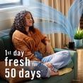 thumbnail image 11 of Febreze PLUG Scent Booster Oil Starter Kit, Hawaiian Aloha + Ocean, 1 Warmer + 3 Refills, 2.63 fl. oz., 11 of 11