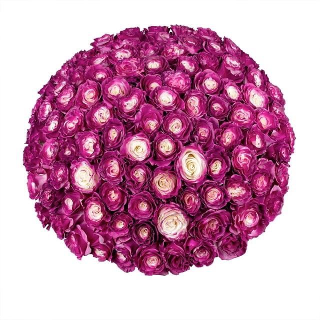 Member's Mark Illusion Roses, choose color and stem count:- 100, Purple