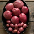 thumbnail image 5 of Red Potatoes, 8 lbs., 5 of 5