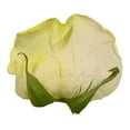 thumbnail image 7 of Member's Mark Illusion Roses, 96 stems, Choose color variety, 7 of 7