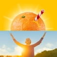 thumbnail image 4 of Tropicana 100 % Orange Juice, 64 fl. oz., 2 pk., 4 of 5