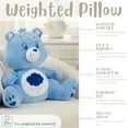 thumbnail image 4 of Weighted 3lb. Licensed Character Plush Pillow, 4 of 8