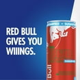 thumbnail image 4 of Red Bull Sugar Free Red  Edition 8.4 fl. oz., 24 pk., 4 of 9