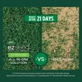 thumbnail image 3 of Scotts EZ Seed Patch & Repair Tall Fescue Lawns 25 lb., 3 of 11