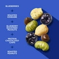 thumbnail image 3 of WildRoots Chocolatey Blueberry Protein Single Serve Trail Mix, 1.75 oz., 12 pk., 3 of 7