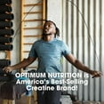 thumbnail image 6 of Optimum Nutrition, Micronized Creatine, Blueberry Lemonade, 1.78 lbs., 6 of 8