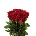 thumbnail image 3 of Member's Mark Roses, choose color variety and stem count, 3 of 7