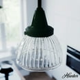 thumbnail image 1 of Hunter Cypress Grove with Clear Holophane Glass 1 Light Pendant Ceiling Light Fixture, 1 of 8