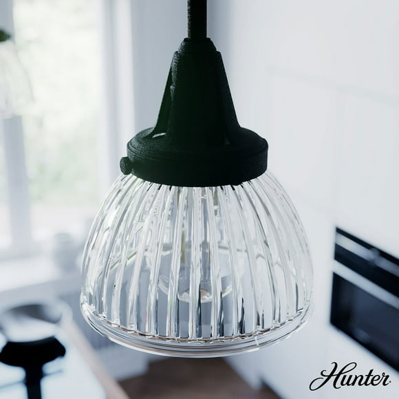 Hunter Cypress Grove with Clear Holophane Glass 1 Light Pendant Ceiling Light Fixture