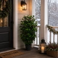 thumbnail image 4 of Artificial 3' Holly Berry Topiary in Black Grower's Pot, 4 of 6
