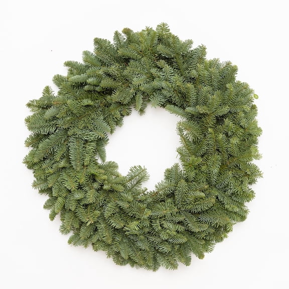 24" Fresh Noble Fir Wreath
