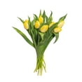 thumbnail image 2 of Member's Mark Tulips, 50 stems, 2 of 3